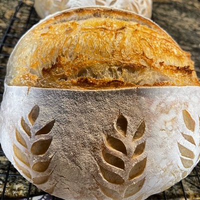 Classic Sourdough Loaf 