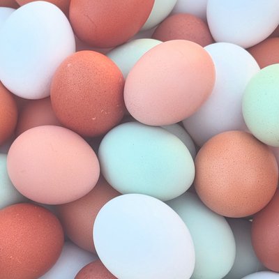 1 Dozen Free Range “Rainbow” Eggs