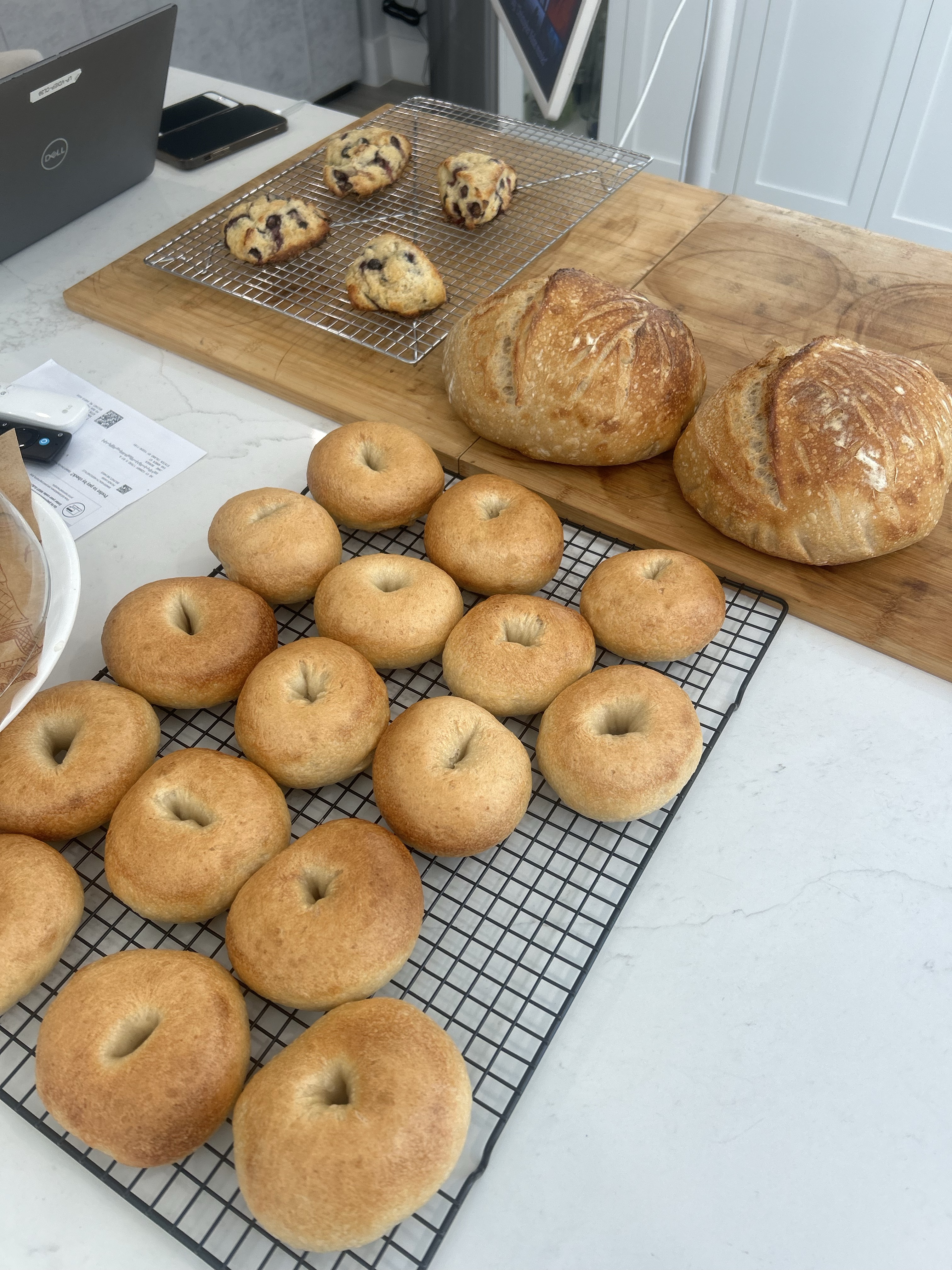 Plain Sourdough Bagels Half Dozen (6)