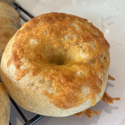 Cheddar Bagel