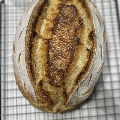 Original Sourdough