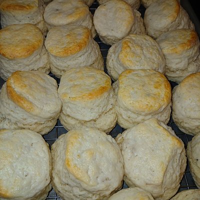 Parmesan Italian Herb Biscuit Box 4 Pack 