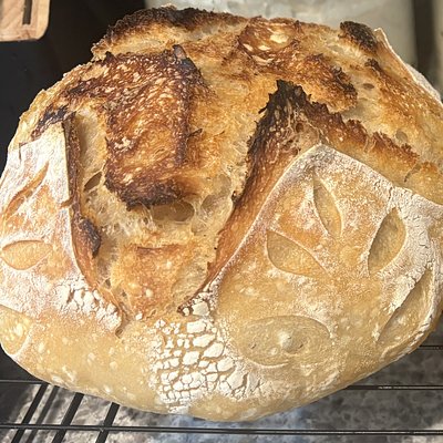 Plain Sourdough Bread 