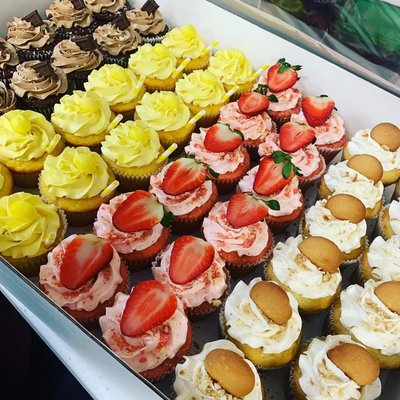 4 Dozen Cupcake Box