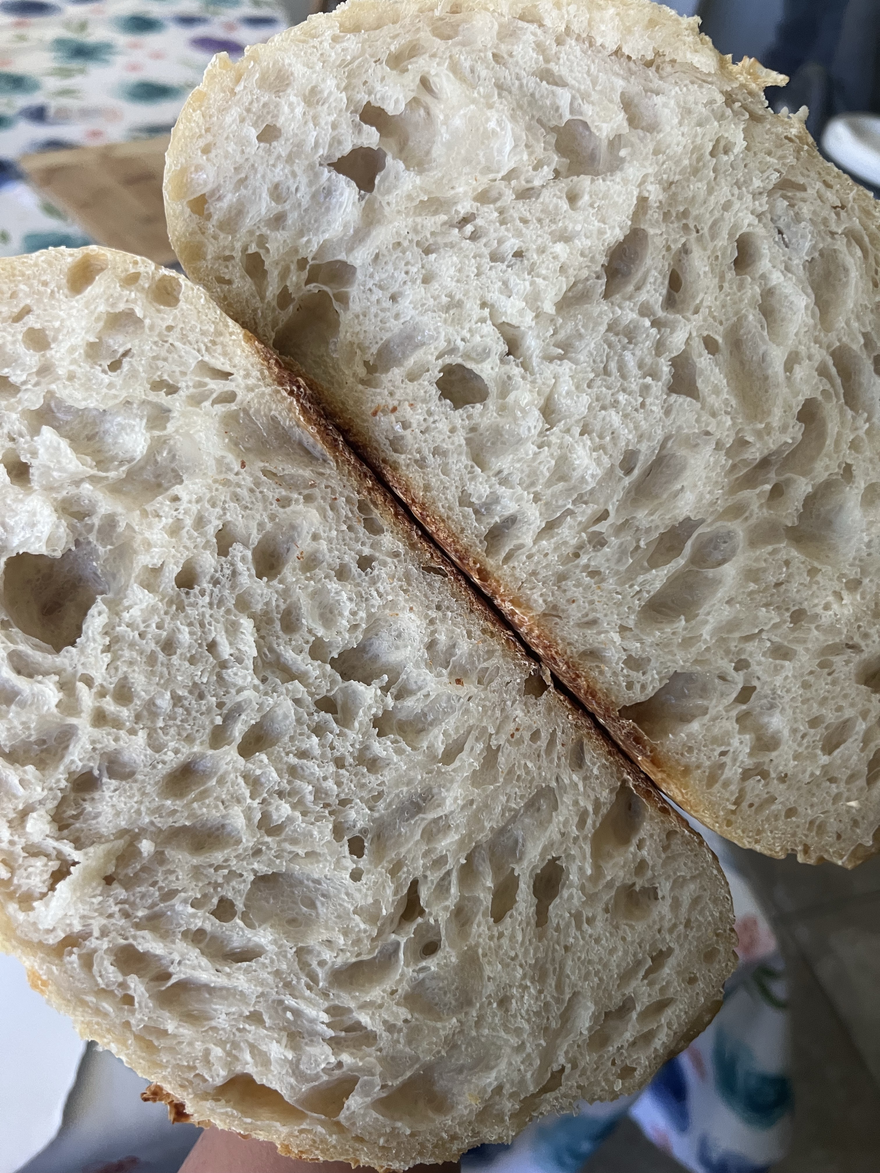 Plain Sourdough 