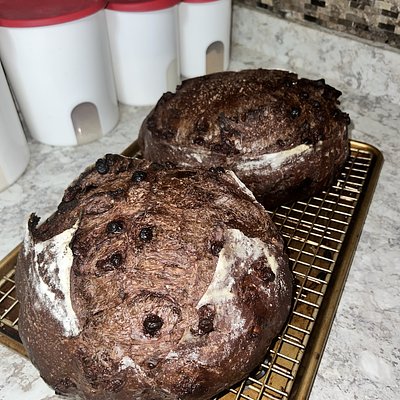 Double Chocolate Espresso Sourdough 