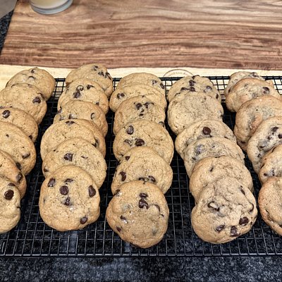 Chocolate Chip (6)