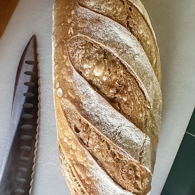 Classic Sourdough Loaf