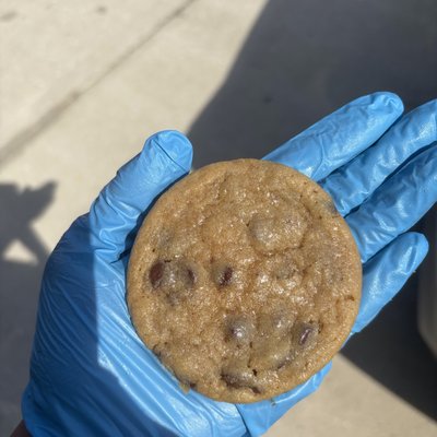 chocolate chip