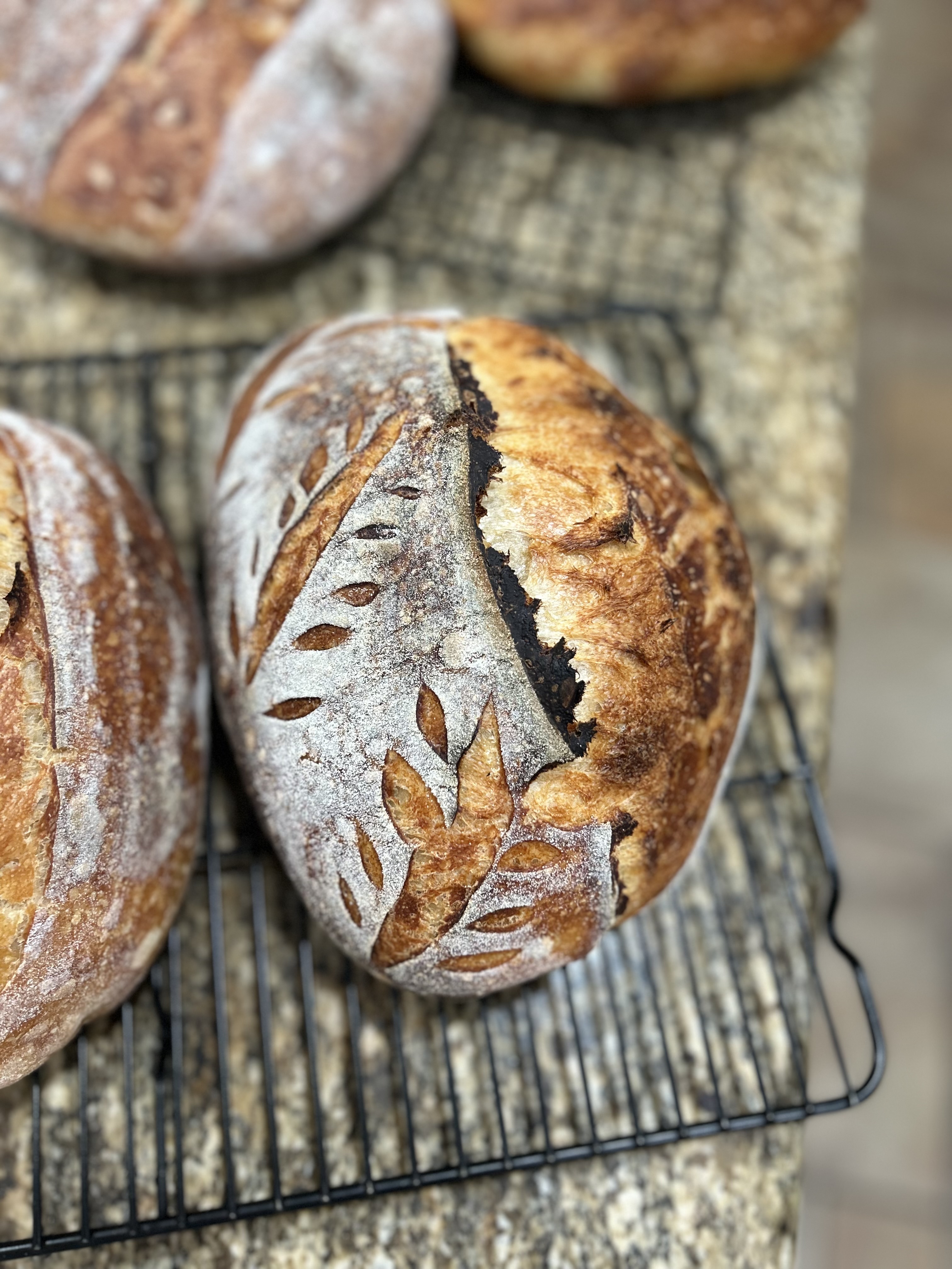 Roasted Garlic Loaf