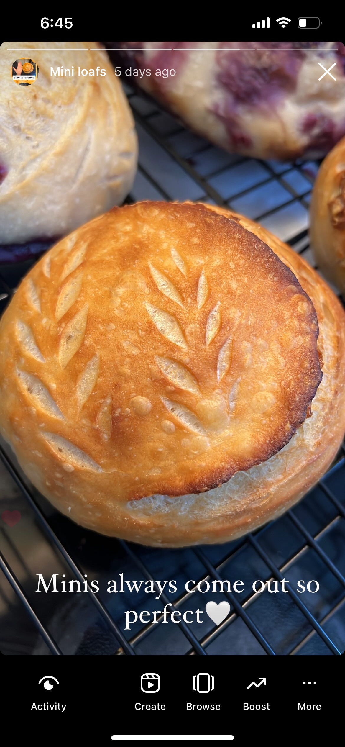 Regular Sourdough