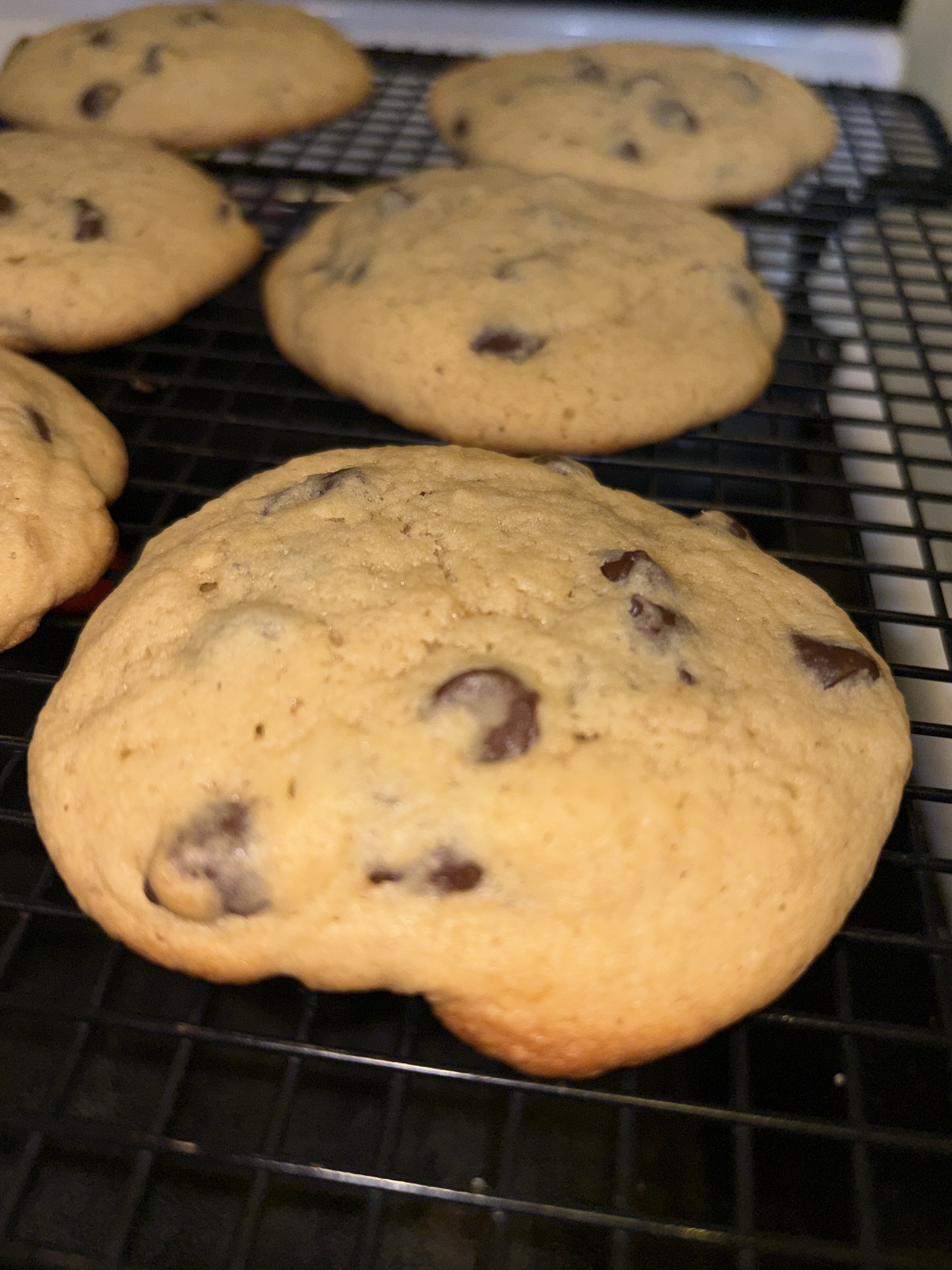 Chocolate Chip Cookies (medium/large size)