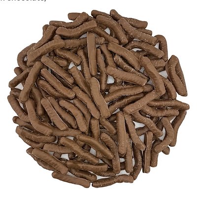 Chocolate Covered Gummy Worms 