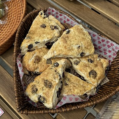 Cranberry & Orange Sourdough Scones (4pcs/order)
