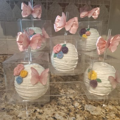 Chocolate Covered Apples