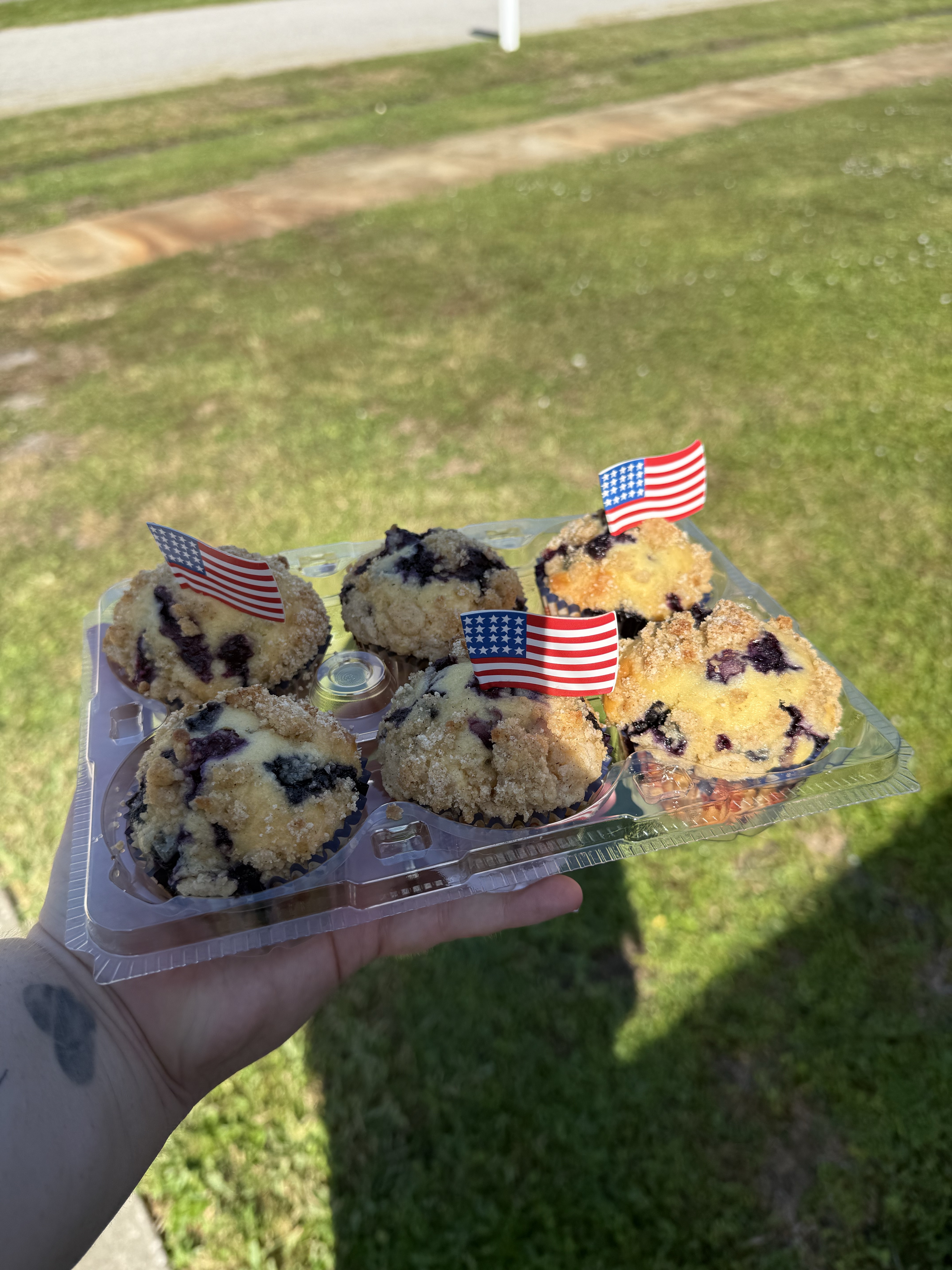 Blueberry Muffins 6 Pack