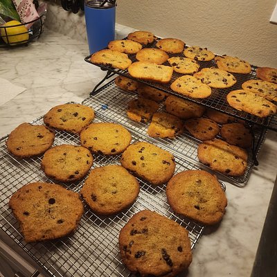 Sourdough Discard Chocolate Chip Cookies