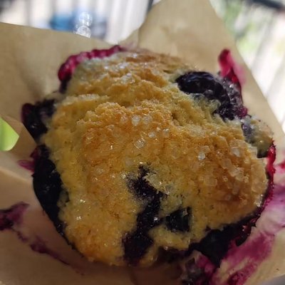 Muffin 2ct