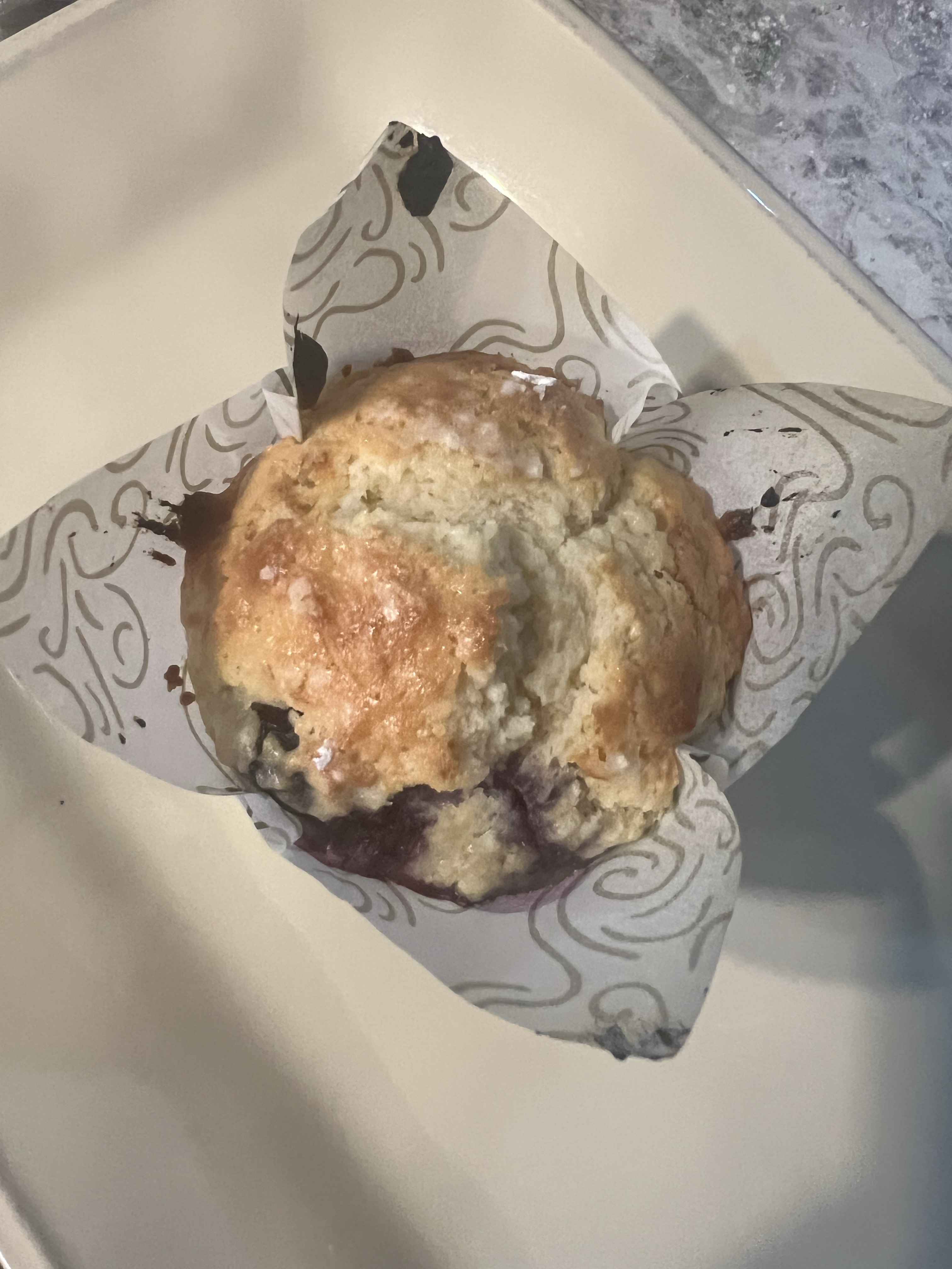 Sourdough Blueberry Muffins 