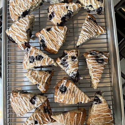 Blueberry Sourdough Scones- 4 Pack 