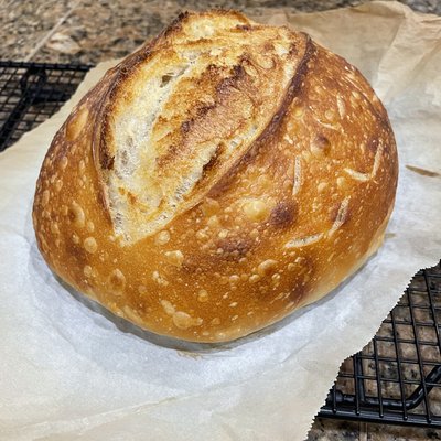 Sourdough Loaf
