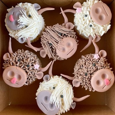 Highland Cow Cupcakes