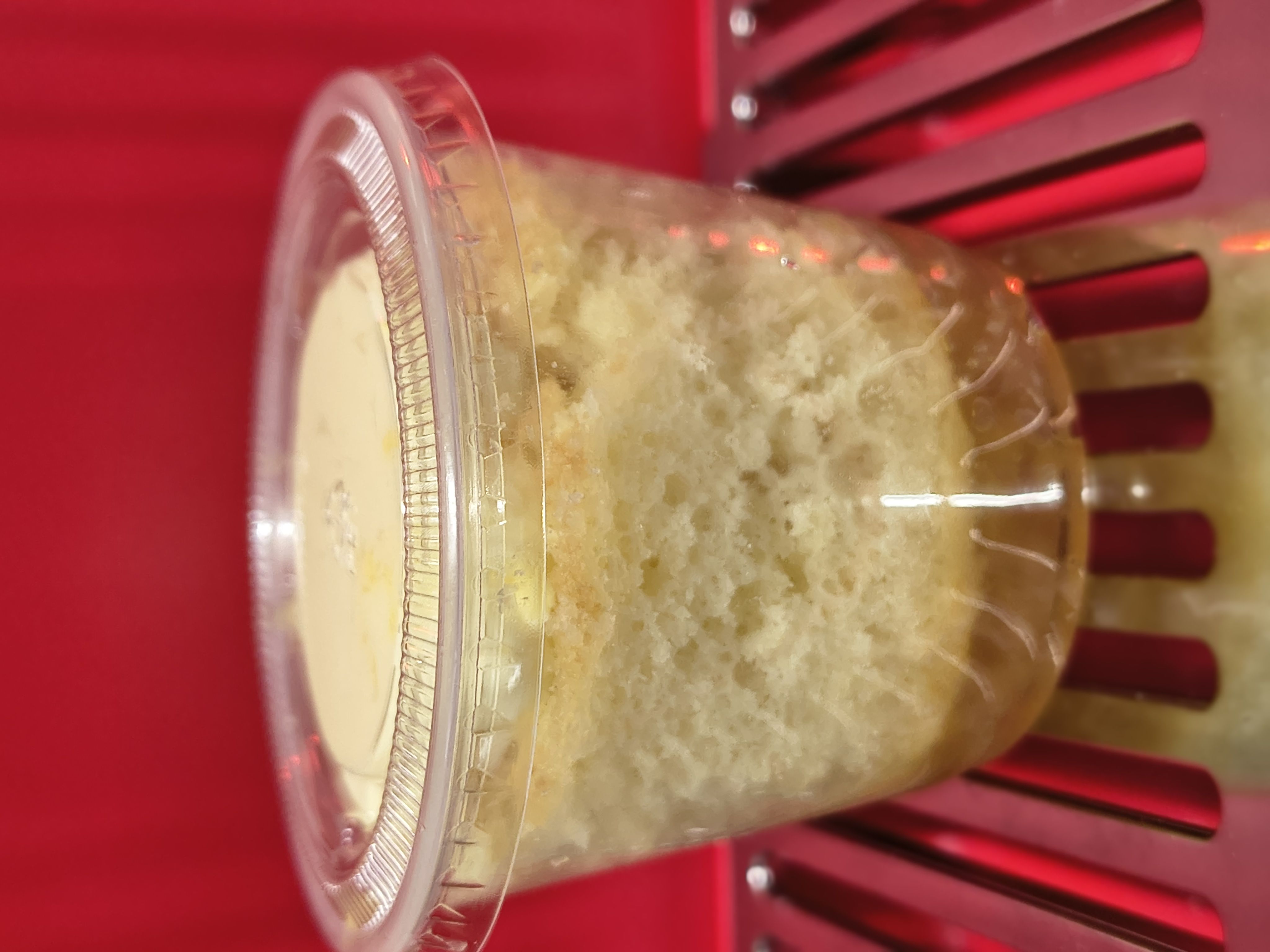 Pineapple Cake Cup