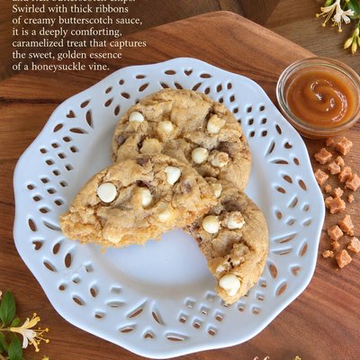 The Honeysuckle-butterscotch Toffee White Chocolate(Full Dozen Pack)