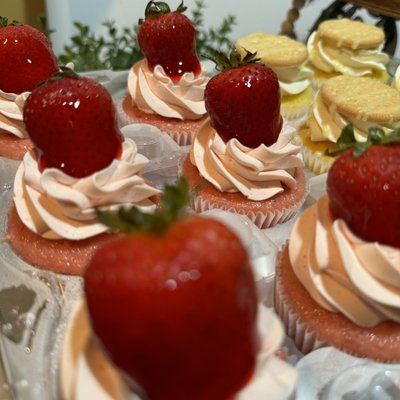 Assorted CupCakes 