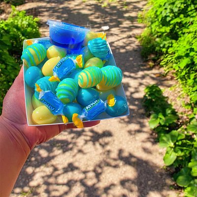 Blueberry Cheesecake