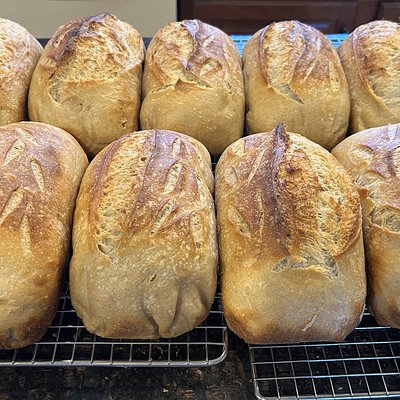 Sourdough Loaf 