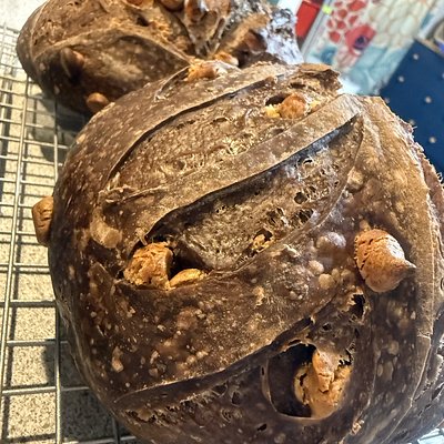 Perky Nips - Chocolate Espresso Peanut Butter Chip Sourdough