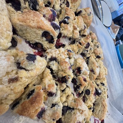 Blueberry Lemon Sourdough Discard Scones