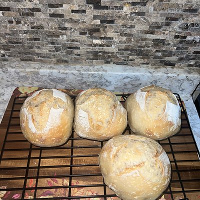 Bread Bowls Plain (4) 