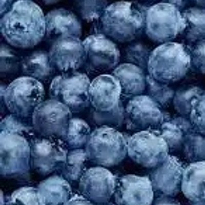Blueberry Cheesecake 