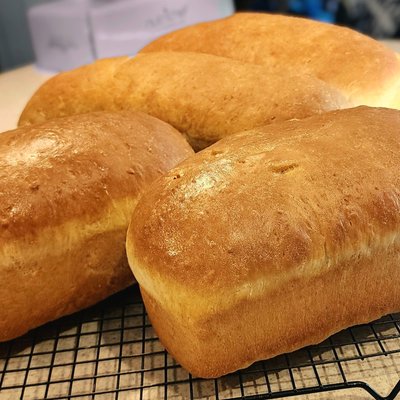 Regular Size Sourdough Sandwich Bread