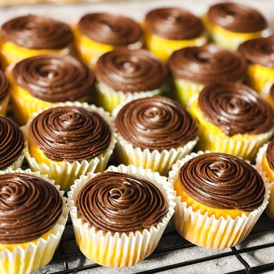 Basic Cupcakes 