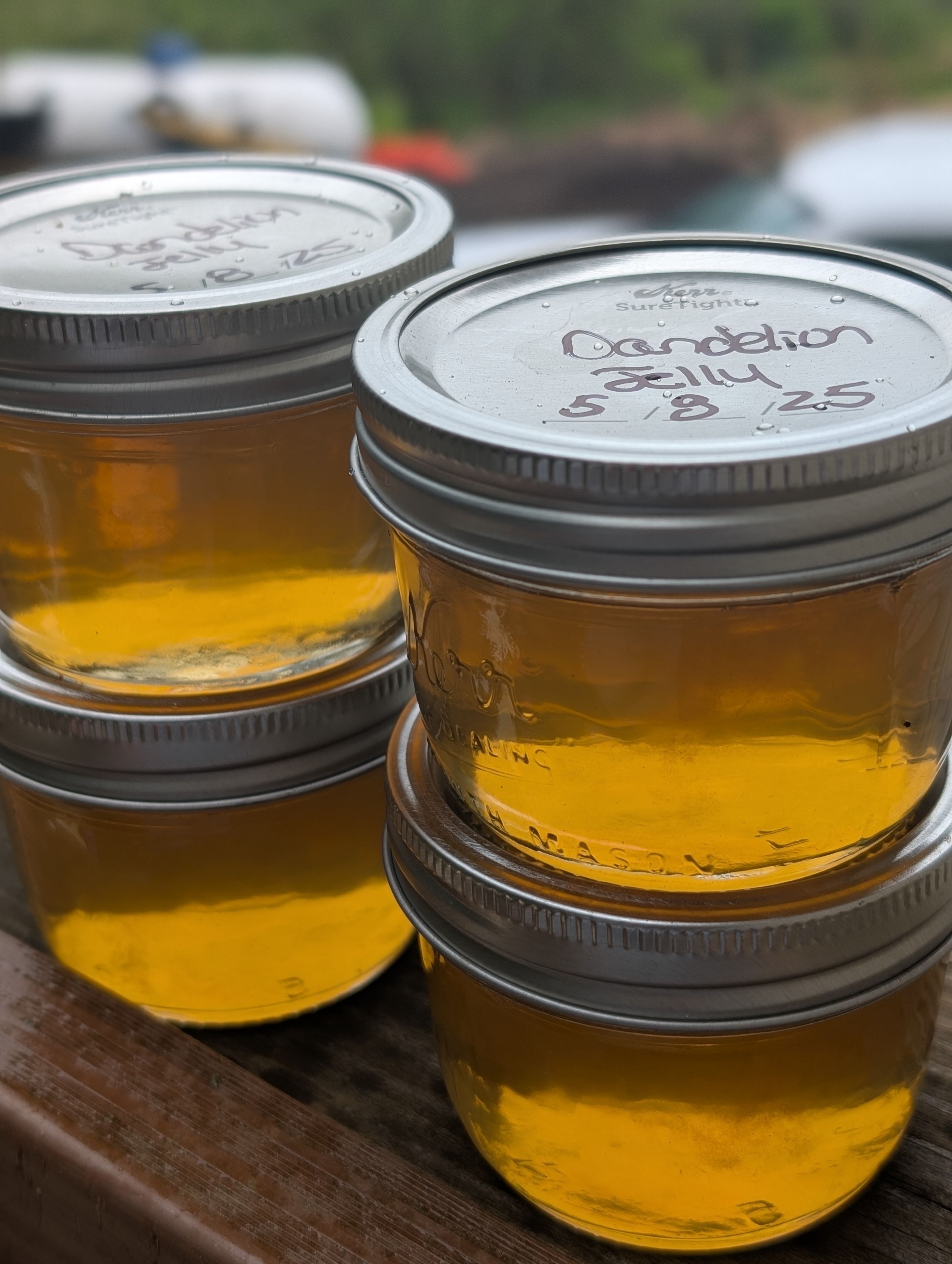 Sunshine in a Jar – Dandelion Jelly