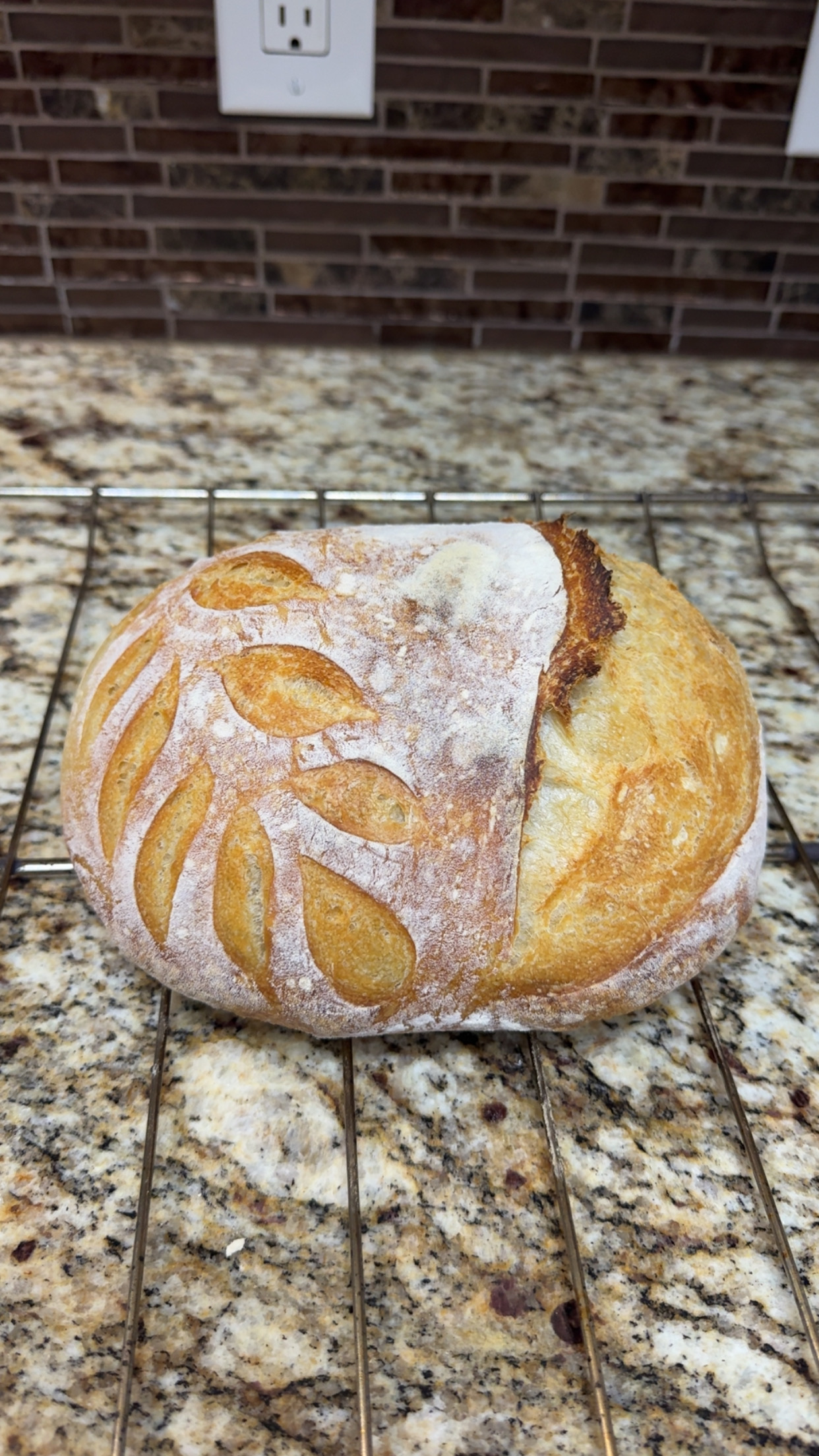 Plain Round Loaf