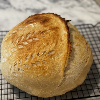 Sourdough loaf 
