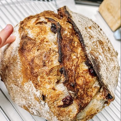  Brown Sugar Cinnamon Raisin Boule