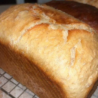 Sandwich Bread