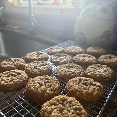 Sourdough Cookies (12)