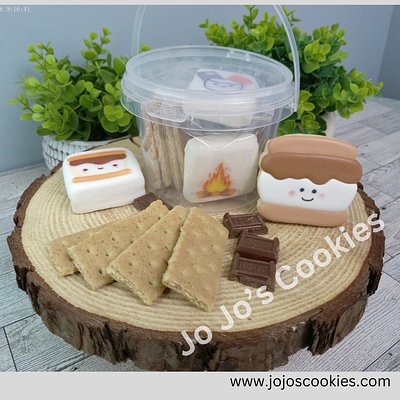 S’Mores Gift Bucket For Two 