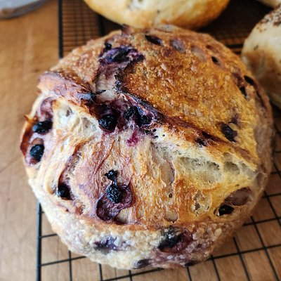 Lemon Blueberry Sourdough 