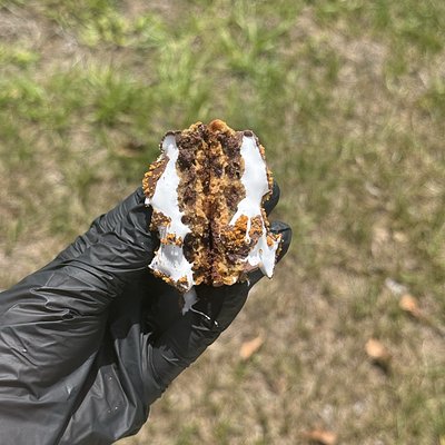 Double Stuffed Biscoff S’mores - 1 Pack