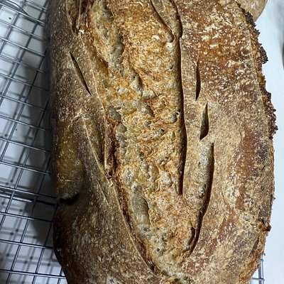 Sourdough Whole Wheat Rye Loaf