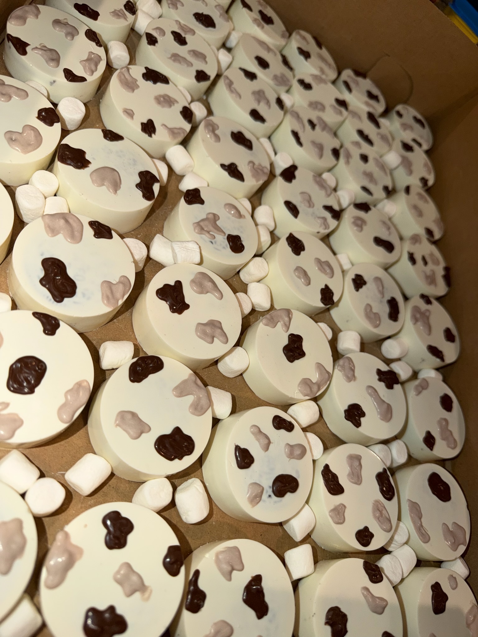 Chocolate Covered Treats