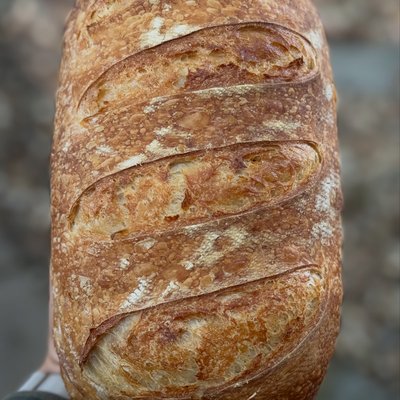 Plain Sourdough Sandwich Bread 