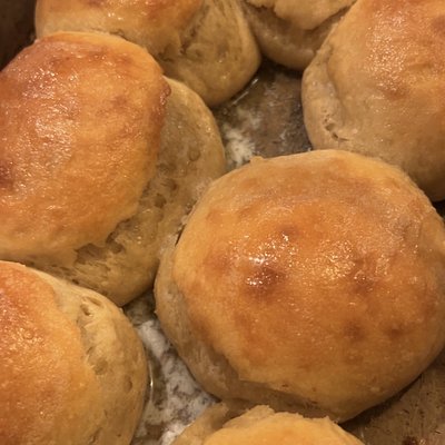 Dinner Rolls
